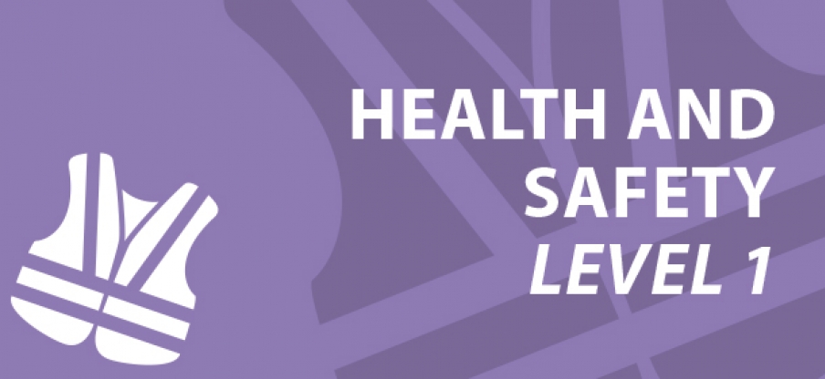 Health & Safety Level 1
