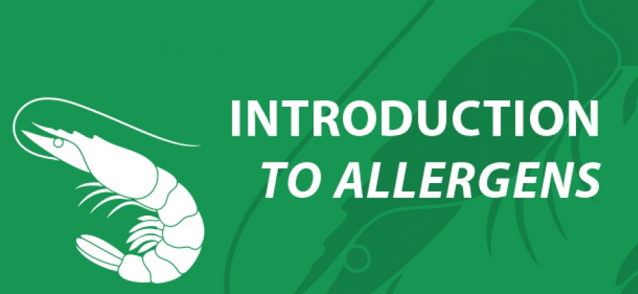 Introduction to Allergies