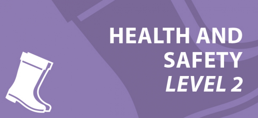 Health & Safety Level 2